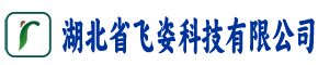湖北省飞姿科技有限公司